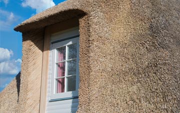 Banton thatch roof disadvantages
